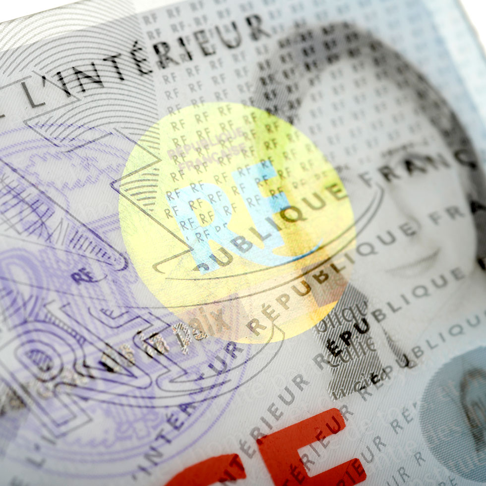 The-Group-brands-Surys-1-1-980pxl-width