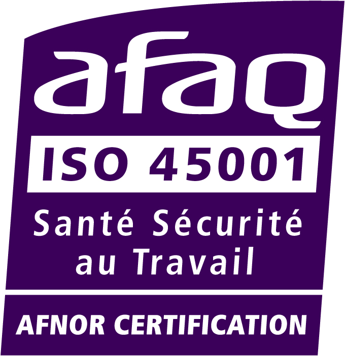 ISO 45001 Logo